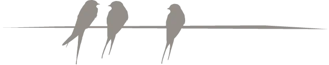 floating_pajaros_2x